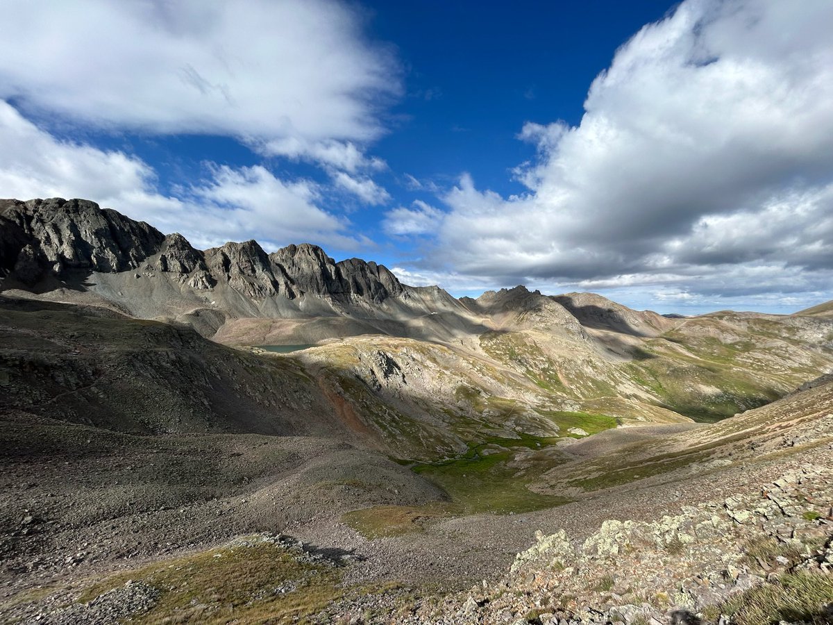 Alison Berg tweet media