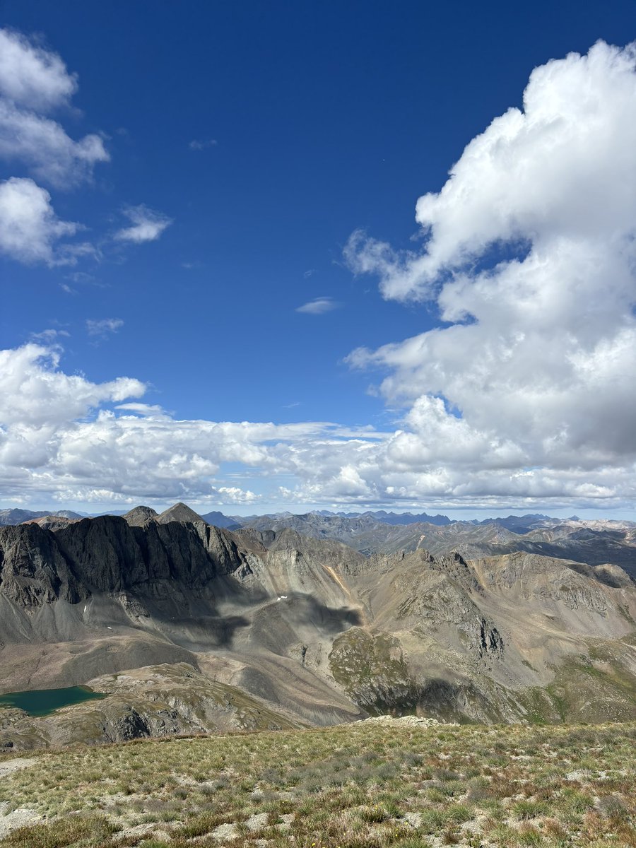 Alison Berg tweet media