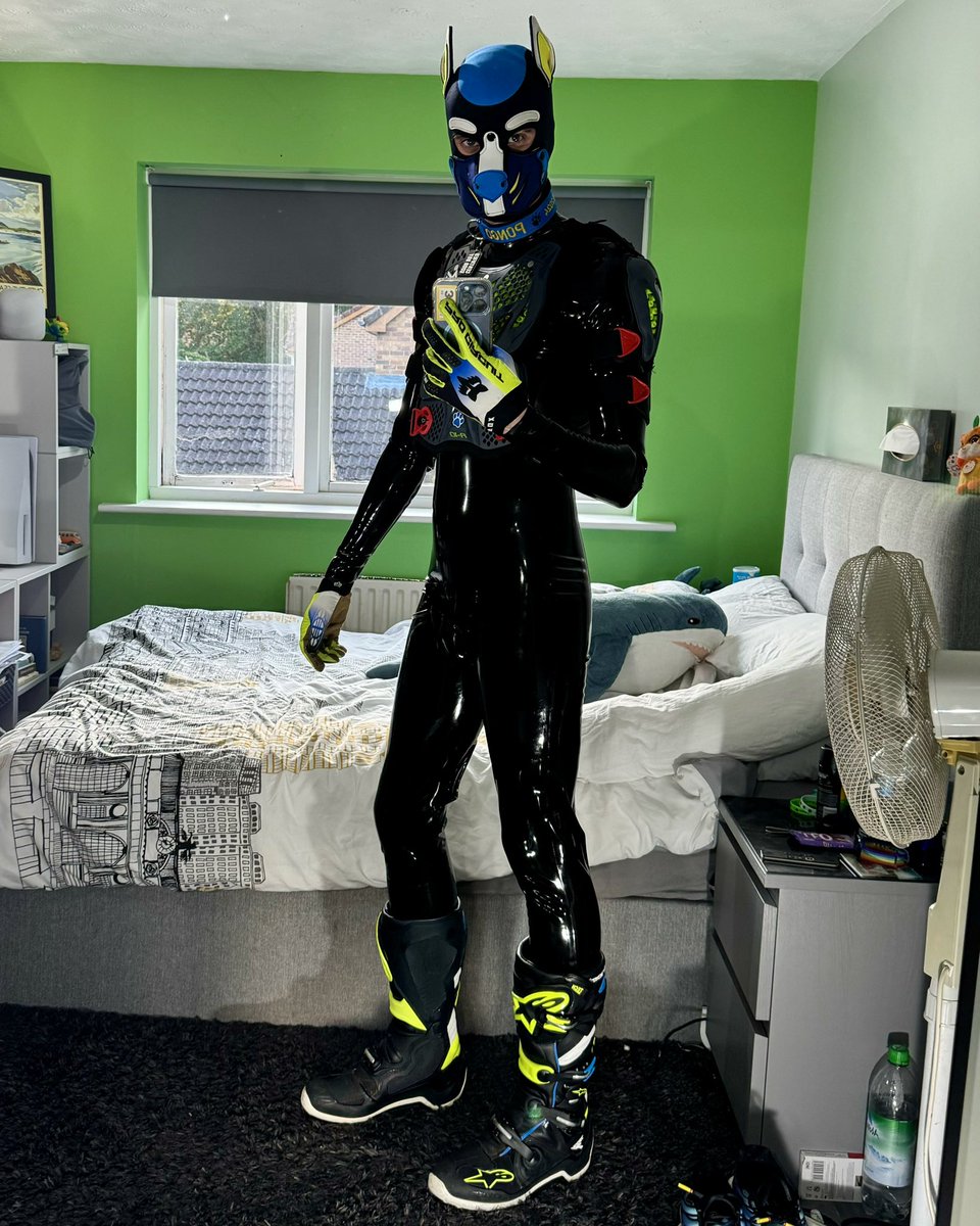 Pongo🔜 tweet media