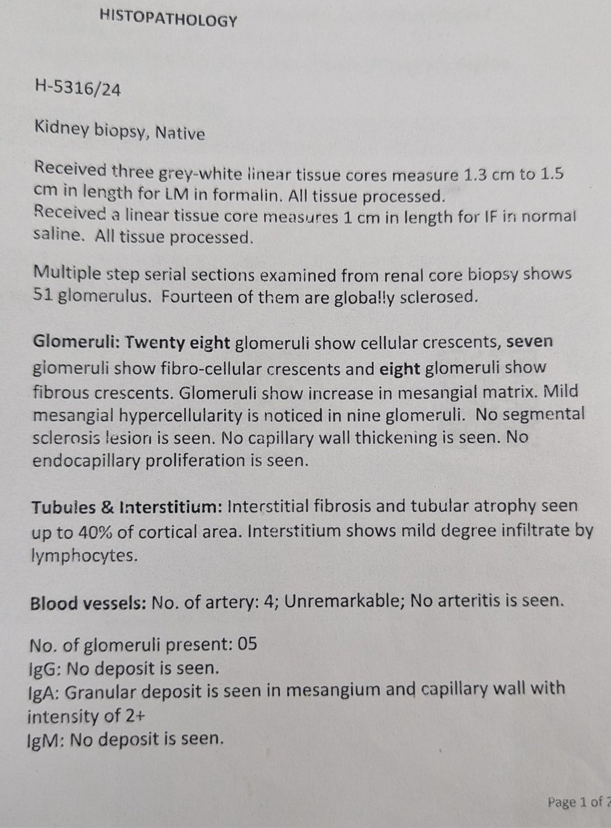 thisis_drgsp's tweet image. #ask_renal #askrenal

25yr male presented with multiple joint pains and red skin lesions and abdominal symptoms in December 2023 when his creatinine was 0.73 colonoscopic Biopsy showed chronic non-specific colitis treated as reactive arthritis secondary to enteric infection with