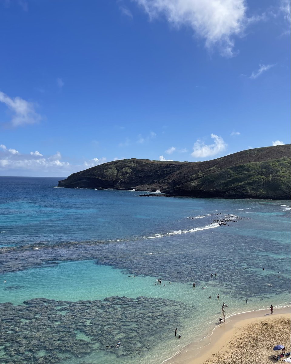 Ricky Amador tweet media