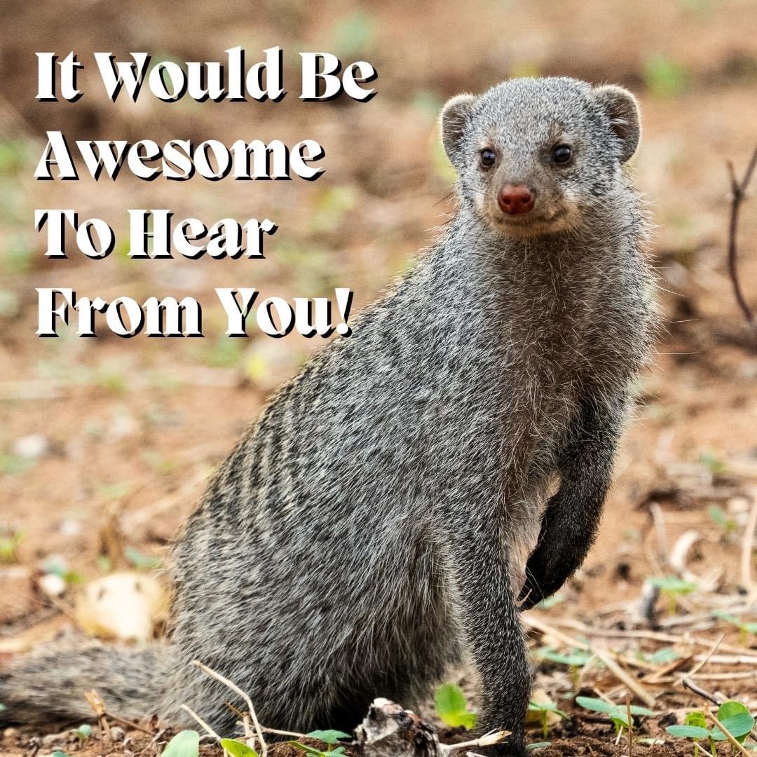 Travelled with us? Please take a minute or two out of your day to leave us a review 🤗 Your feedback is important click the link below submit your experience with us! 

Okavango Expeditions - Mobiles  👉 bit.ly/4dwuHq2

MmaTsebe Tented Camp 👉 bit.ly/3YQzuhy