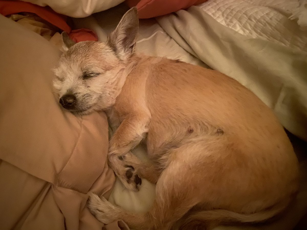 CindySten's tweet image. Me has diabetes too pal. Lost my vision to cataracts a few months ago. But I am adjusting and life is good 🥰#oldageproblems