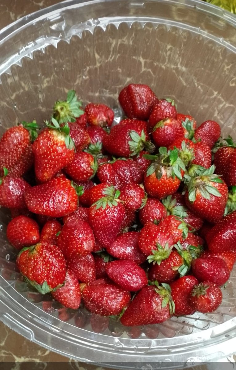 marcelalejara's tweet photo. Me ayudan con un RT porfa!🙏🙏
Recibo pedido de 🍓🍓 a Gs. 25.000 el kilo.. 
Agendo pedido hasta el viernes..📝
Entregamos el sábado, realizamos delivery 🚗🛍 https://t.co/4cXaYpOGiz
