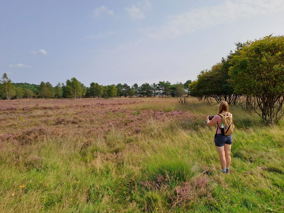 Vandaag heerlijk gewandeld bij Uddel ☀️🌻🐄🌳