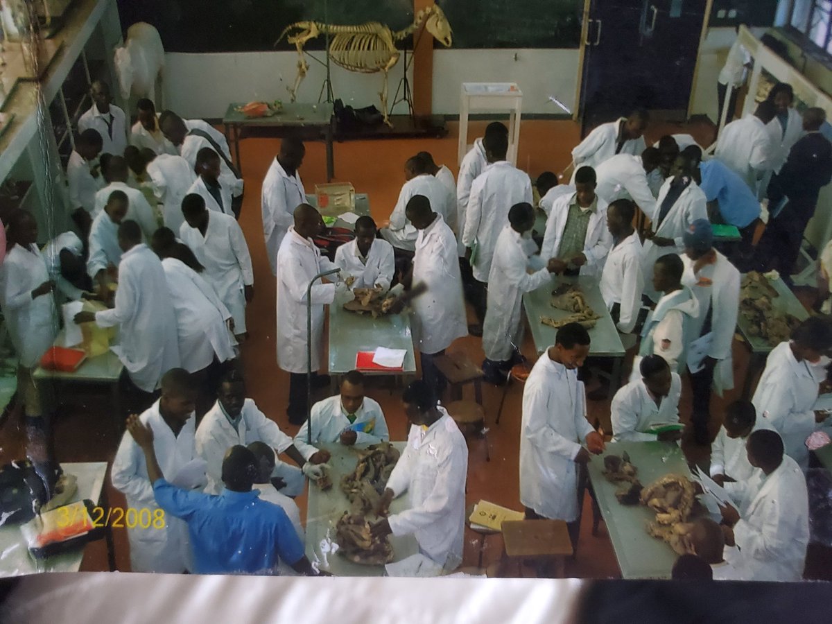 BISMART's tweet photo. #differentialanatomy, #Uon #thebread
My class of 2012. Anatomy  where are you?. https://t.co/KjeAK9aqu6