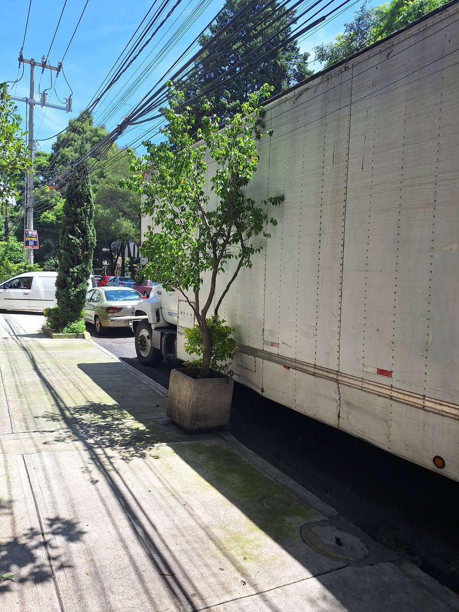 Hola <a href="/BJAlcaldia/">Alcaldía de Benito Juárez</a> <a href="/SSC_CDMX/">SSC CDMX</a> ayuda...  estos casi diario estorban entradas, hacen carga y descarga a todas horas y además hacen un relajo y ruido con el trafico que generan..favor de ayudar. Calle Adolfo Prieto 1145. Del Valle
