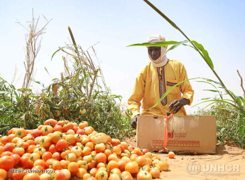 jointdatacenter's tweet image. Explore the spillover effects of #internallydisplacement on the #wellbeing of #hostcommunity children, which Ajefu Joseph and @Uchenna_Efobi will present at the 3rd Research Conference on Forced Displacement.

Register now: bit.ly/4fj9Mbt