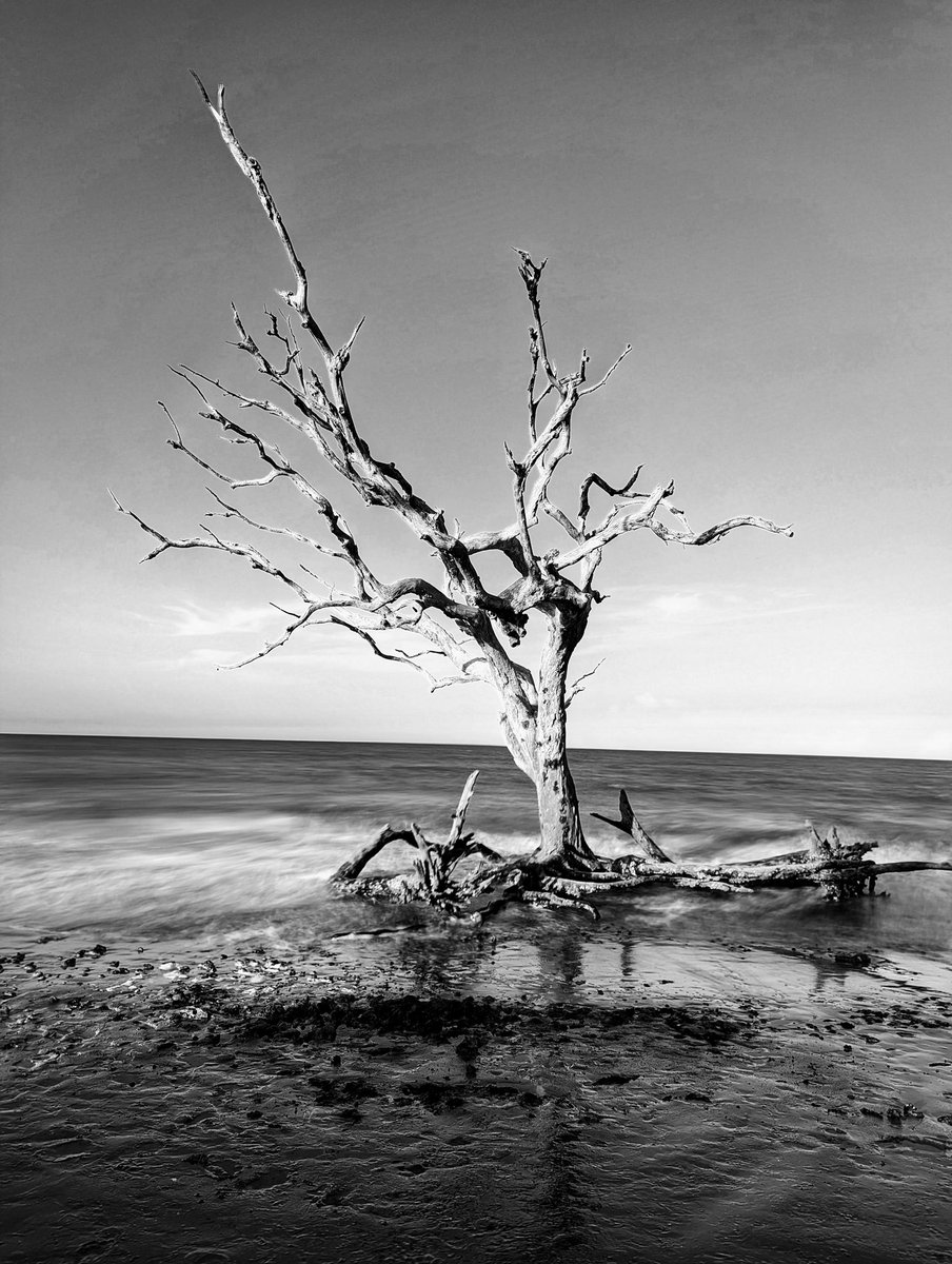 wbentzel's tweet photo. Driftwood Beach on Jekyll Island, Georgia.  Taken with Google Pixel 6 Pro using "Long Exposure" mode to capture the moving water. @madebygoogle @google @googlepixel #pixel6pro #teampixel #pixelsuperfans #Georgia #Driftwood #beach #JekyllIsland #B&amp;W https://t.co/T7Qp4YTQof