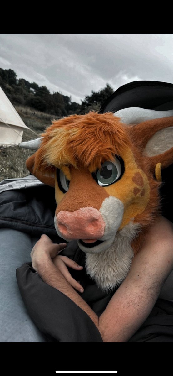 Wanne join this bull for camping? ⛺️ 

#furrsuit #bull #bullsuit #furry #camping #gay #gayfursuit #fursuitweek #FursuitEverday #fursuiter