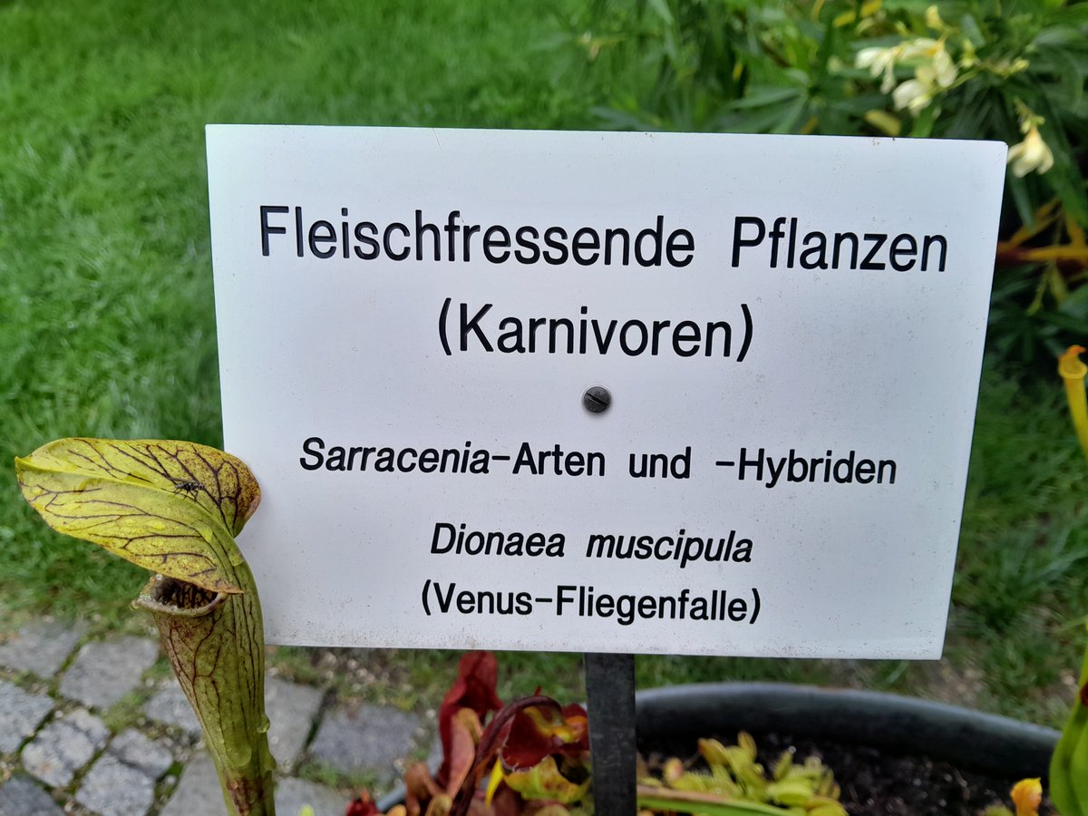 toulouse81677's tweet photo. #Botanischer #Garten #München https://t.co/RqpG5NYger