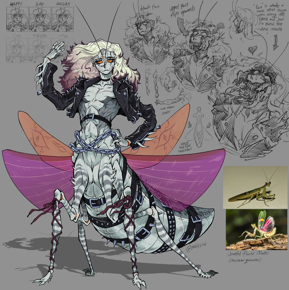 Weird bugsona thing I was convinced to draw by a friend. oh to be an unbothered human mantis hybrid creature..