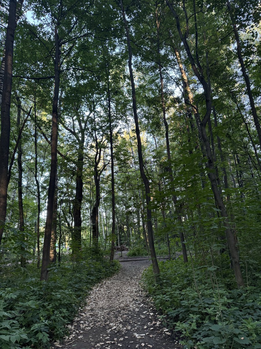 Lulu (@lulu32012) on Twitter photo 