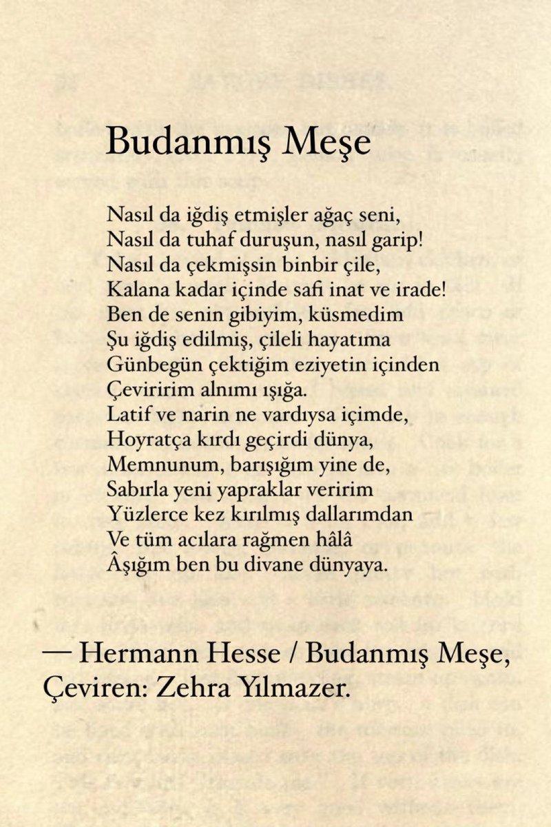 Ben de senin gibiyim...