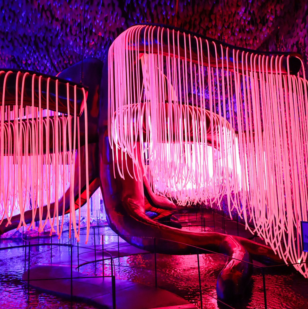 SM00TH_TECH's tweet photo. Otherworld Philadelphia is an award-winning immersive art experience. Smooth Technology managed technical design for the entire space. We also designed many of the amazing visuals &amp; interactions around the space including SPACE BOOPERS, WILLOW TREE, DATA TEMPLE, and GMO LAB https://t.co/BvA9B1NDnl