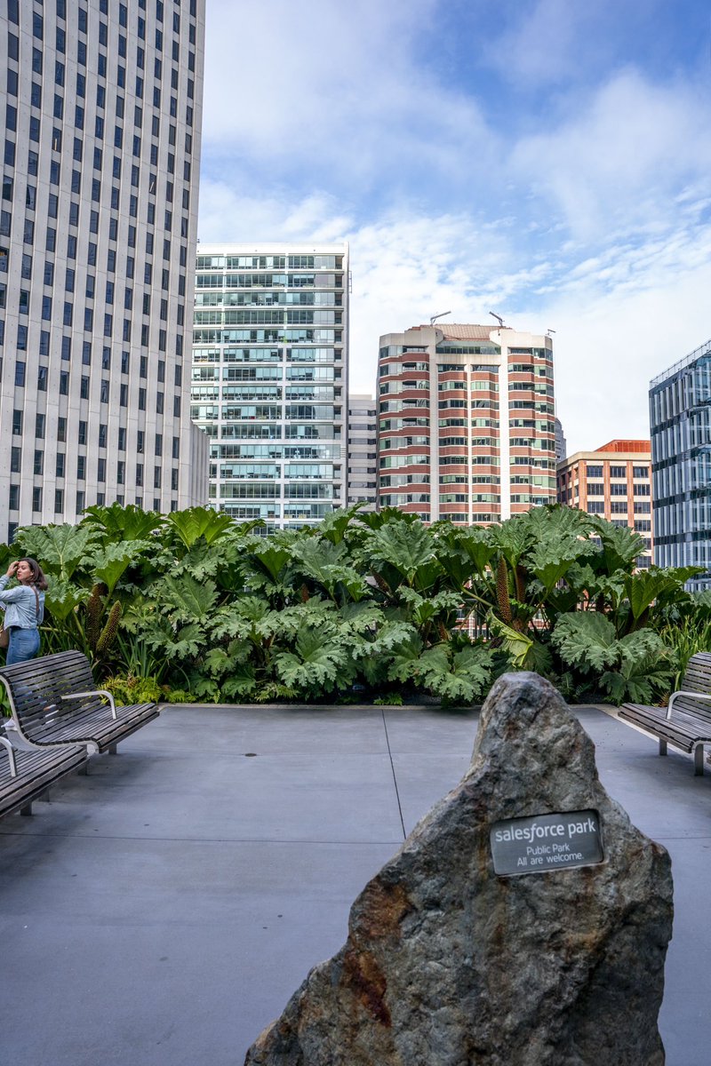 lunapixkc's tweet image. This rooftop park is a must see in downtown San Francisco! It’s 4.5 football fields in length and has beautiful trees, plants, open space, food, and great views! #salesforcepark