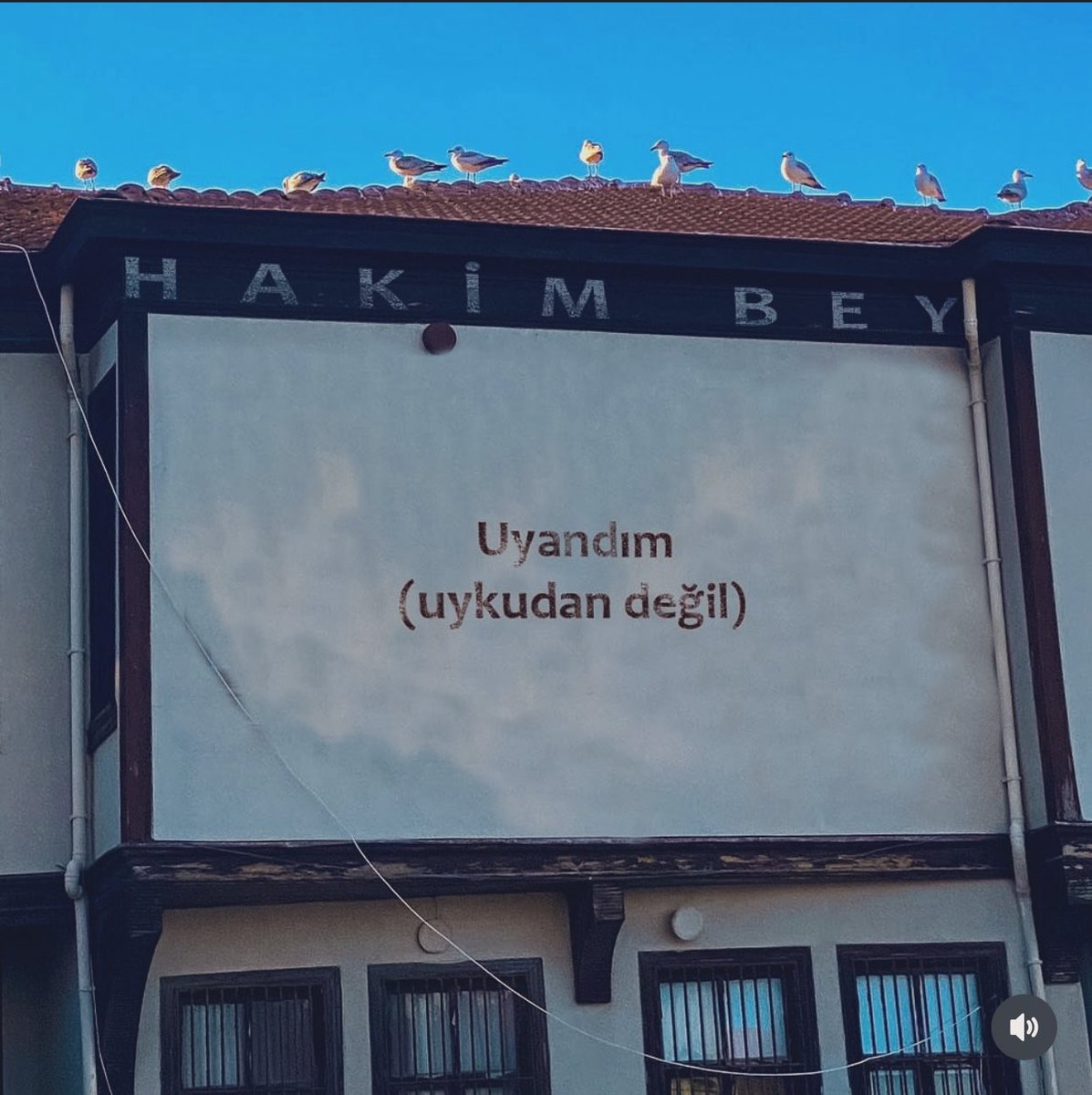 Binlerce kez teşekkürler hayat ☺️