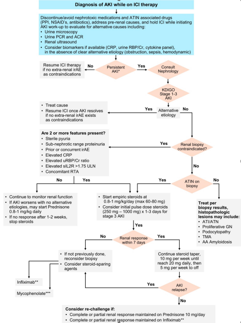 MayoClinicNeph's tweet photo. Recent review on the diagnosis &amp; management of ICI associated acute tubulointerstitial nephritis, integrating the Mayo Clinic approach to patients with ICI-ATIN, including when &amp; how to re-challenge. @delphile @onconeph @NDTsocial @HerrmannMD https://t.co/DFzA4bq9TI https://t.co/5ZyIt6SnWr
