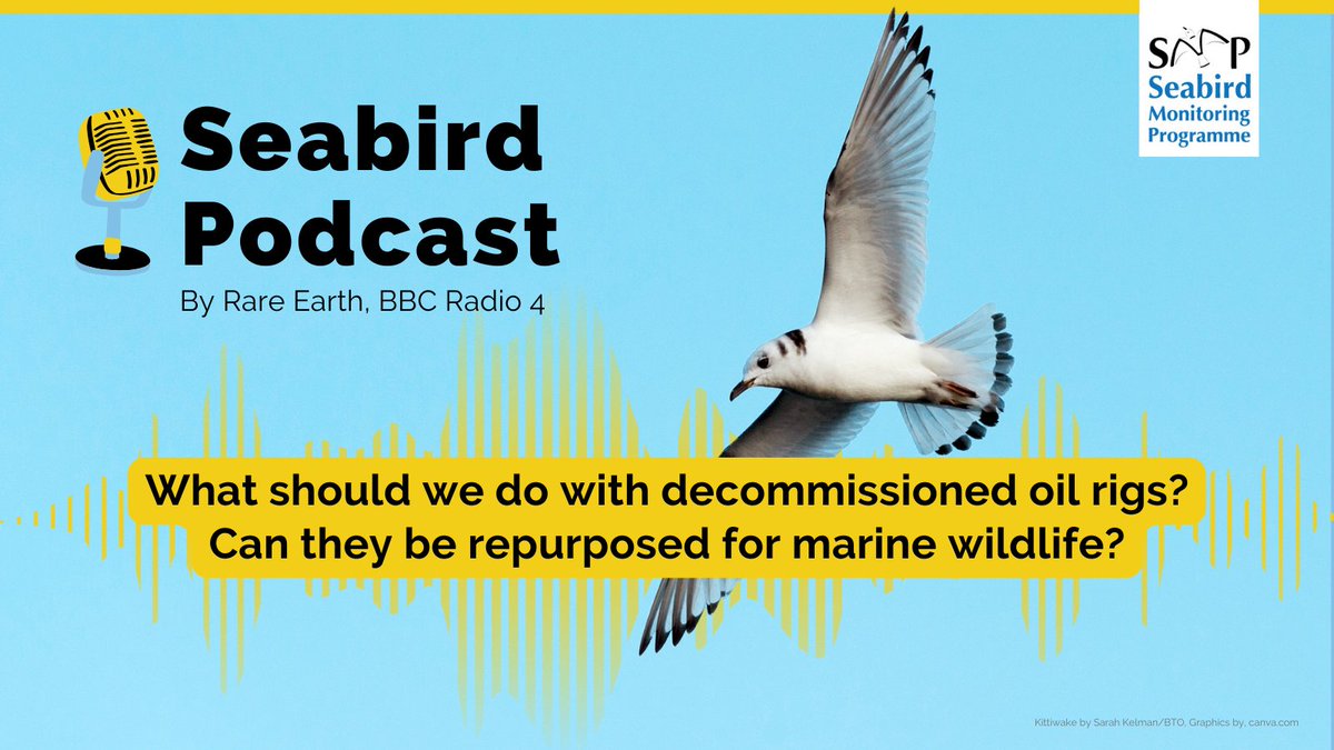 UK Seabird Monitoring Programme (@smp_seabirds) on Twitter photo Can an old oil rig be a nature reserve? 🌊
Explore this question with <a href="/BBCRareEarth/">BBC Rare Earth</a> for a dose of marine-related listening.
The SMP is increasingly receiving #seabird data from offshore structures, and hopefully there will be more survey data to come.
🔊bbc.co.uk/sounds/play/m0… Can an old oil rig be a nature reserve? 🌊
Explore this question with <a href="/BBCRareEarth/">BBC Rare Earth</a> for a dose of marine-related listening.
The SMP is increasingly receiving #seabird data from offshore structures, and hopefully there will be more survey data to come.
🔊bbc.co.uk/sounds/play/m0…