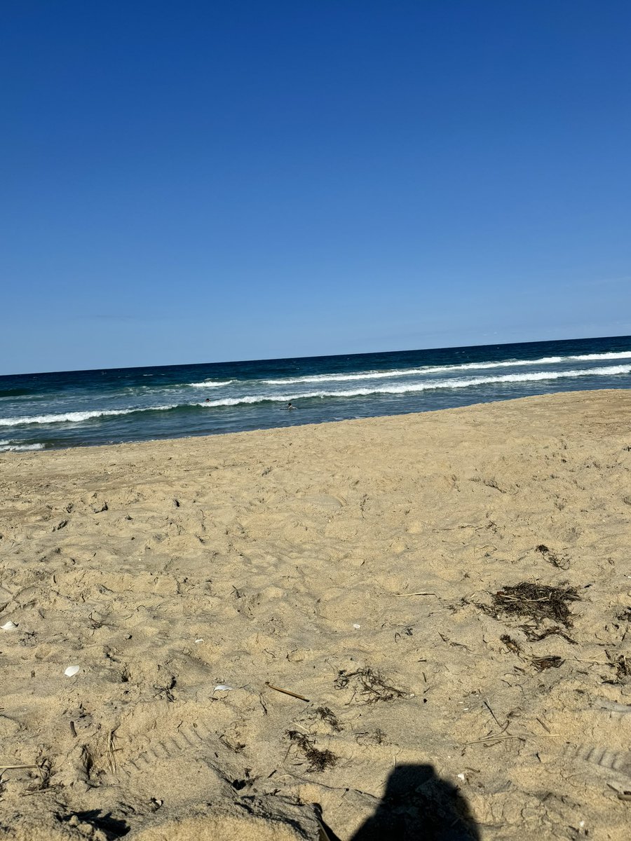 Much needed 🏝️🌊