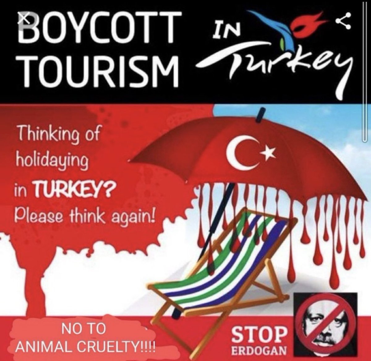 HamuiZyr's tweet photo. @PhaedraXTeddy @RTErdogan https://t.co/Ez5RgwcL0m