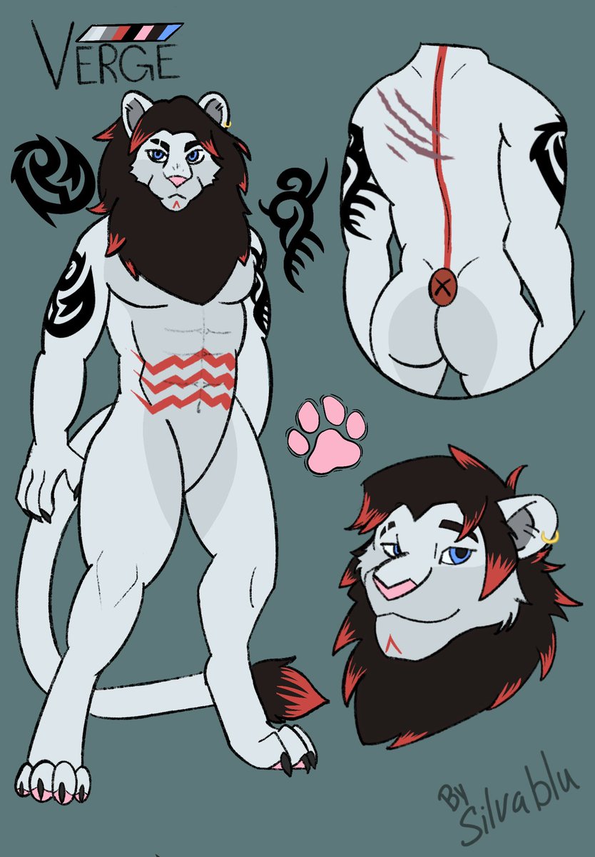 _SilvaBlu_'s tweet photo. Commission for @VergeTheLion #FURRY #FurryArt #RefSheet #AntroArt https://t.co/HQxAxsoBxk