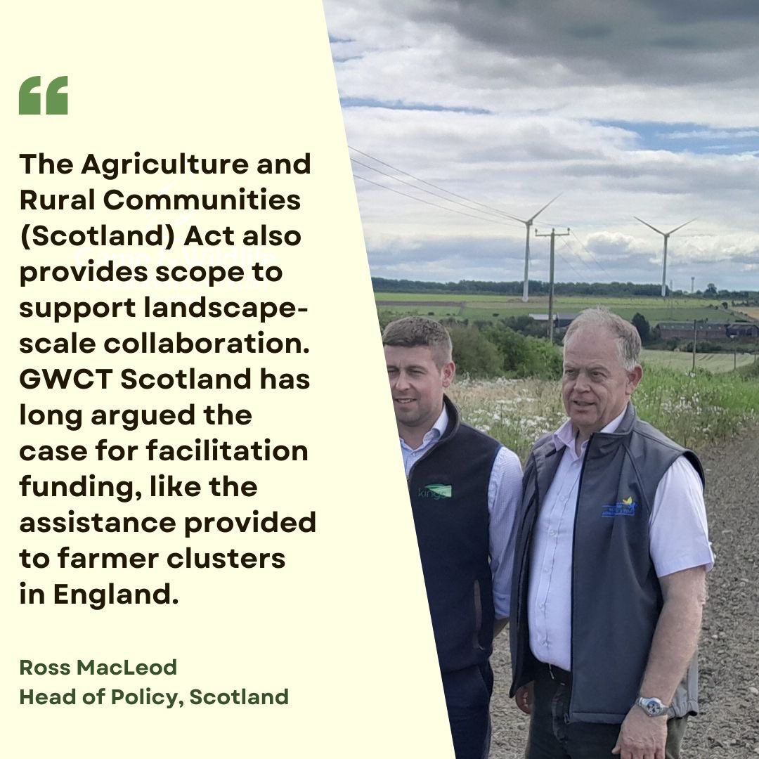 Discover the latest in Scottish wildlife and agricultural policy in our Summer 2024 perspectives blog!

👉🏻 Read the full blog here: gwct.org.uk/blogs/news/202…
