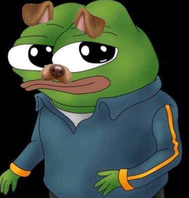 Crypto_d0c's tweet photo. @mrpunkdoteth Meh let them jeet. Smart money will buy #SNAPDOG @SnapdogCTO 📸🐶 https://t.co/htvrv8N245