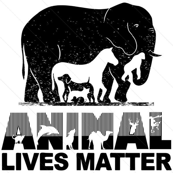 wishformorgan's tweet photo. All animal lives matter, all animals deserve love, compassion, empathy &amp; protection not cruelty or abuse. #stopabusinganimals https://t.co/zsuGAAUnGm