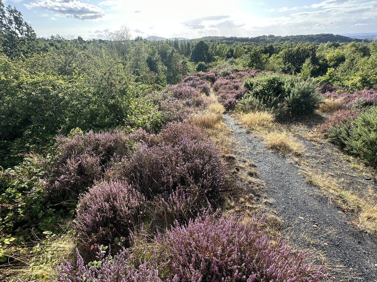After travelling most of the day, I was desperate for a walk. Beautiful colours at #Granville Park this afternoon. #Telford #Shropshire