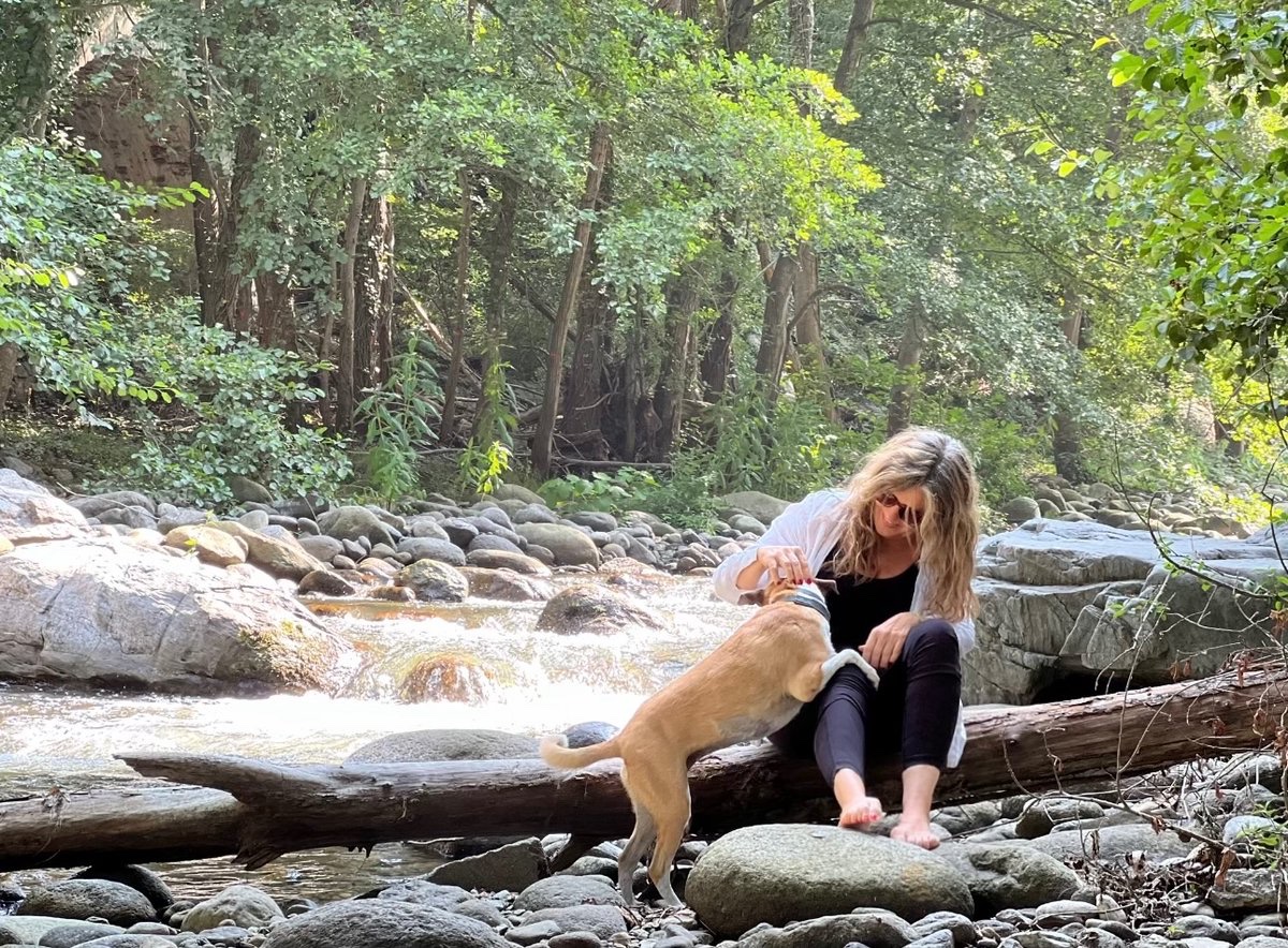 Si no vas a l’altra punta del món, no vol dir que no puguis descobrir un munt de llocs durant el temps de vacances.

Tenim la sort d’estar envoltats de llocs meravellosos que encara no coneixem, i que tenim un país preciós.

I que de vegades a les vacances només es tracta de