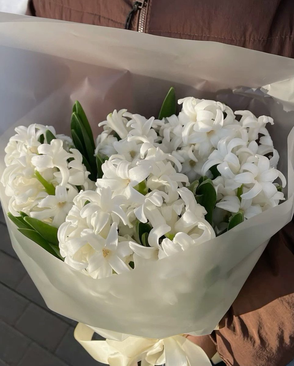 5sosflowers's tweet photo. 💐: for @zweigsoner
💌: bark bark bark
From: @felixctton https://t.co/jWQrGtC9j7