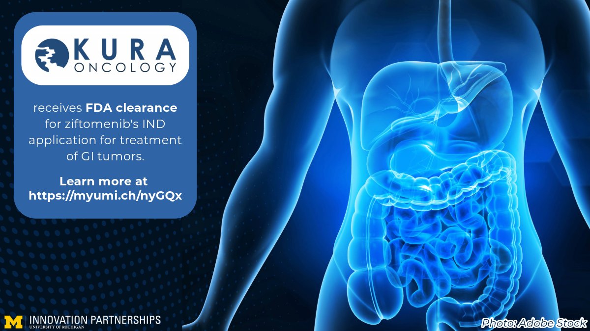 Innovation Partnerships (@innovpartner) on Twitter photo #hailtothestartup! <a href="/UMich/">University of Michigan</a> startup @Kura Oncology’s novel drug ziftomenib has been cleared by the FDA for IND application to target advanced GI stromal tumors. A significant step forward in cancer treatment innovation.
Learn more at: myumi.ch/nyGQx #hailtothestartup! <a href="/UMich/">University of Michigan</a> startup @Kura Oncology’s novel drug ziftomenib has been cleared by the FDA for IND application to target advanced GI stromal tumors. A significant step forward in cancer treatment innovation.
Learn more at: myumi.ch/nyGQx