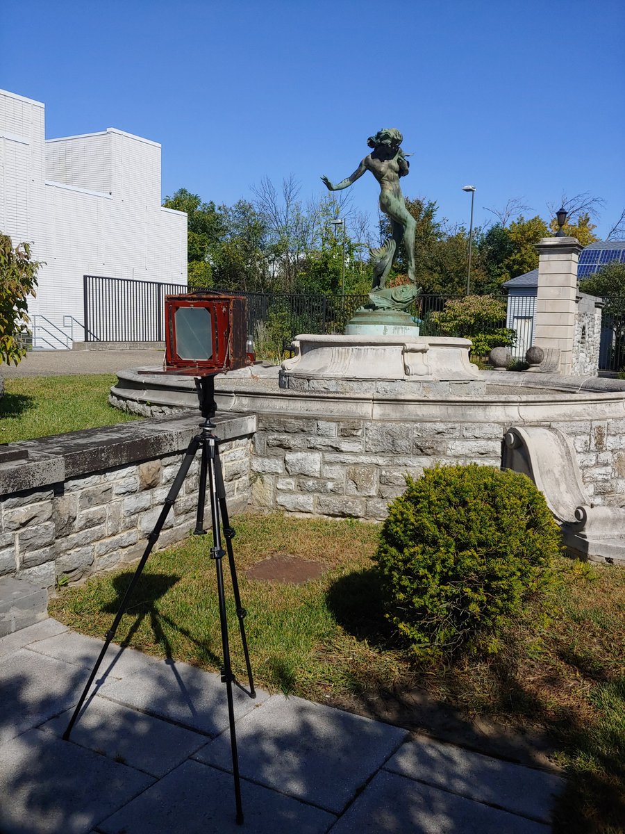 "Humoresque" tweet media