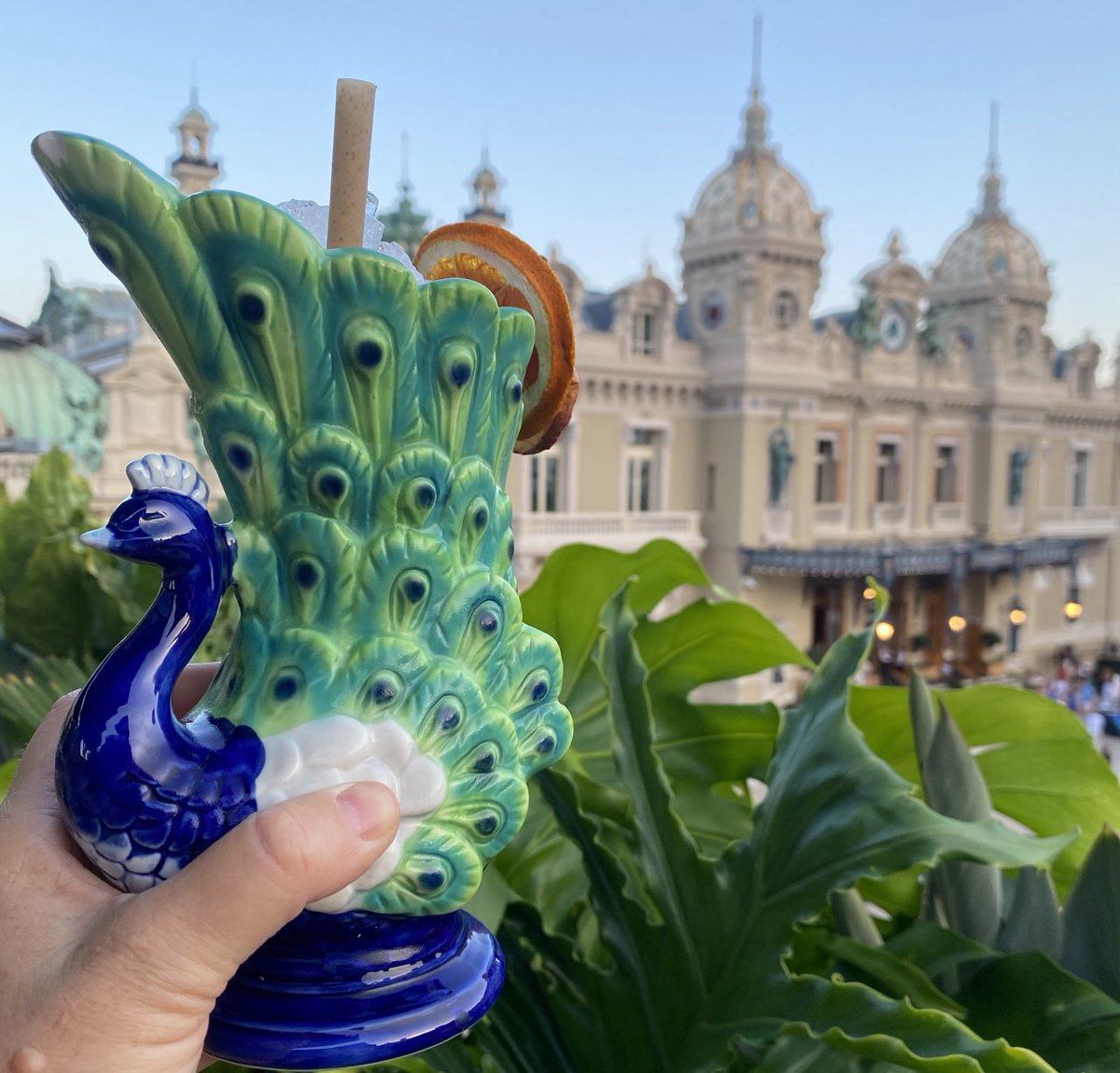 KarineWenger's tweet photo. Chill out à Monaco #Amazonico https://t.co/uLU3JEtMHS