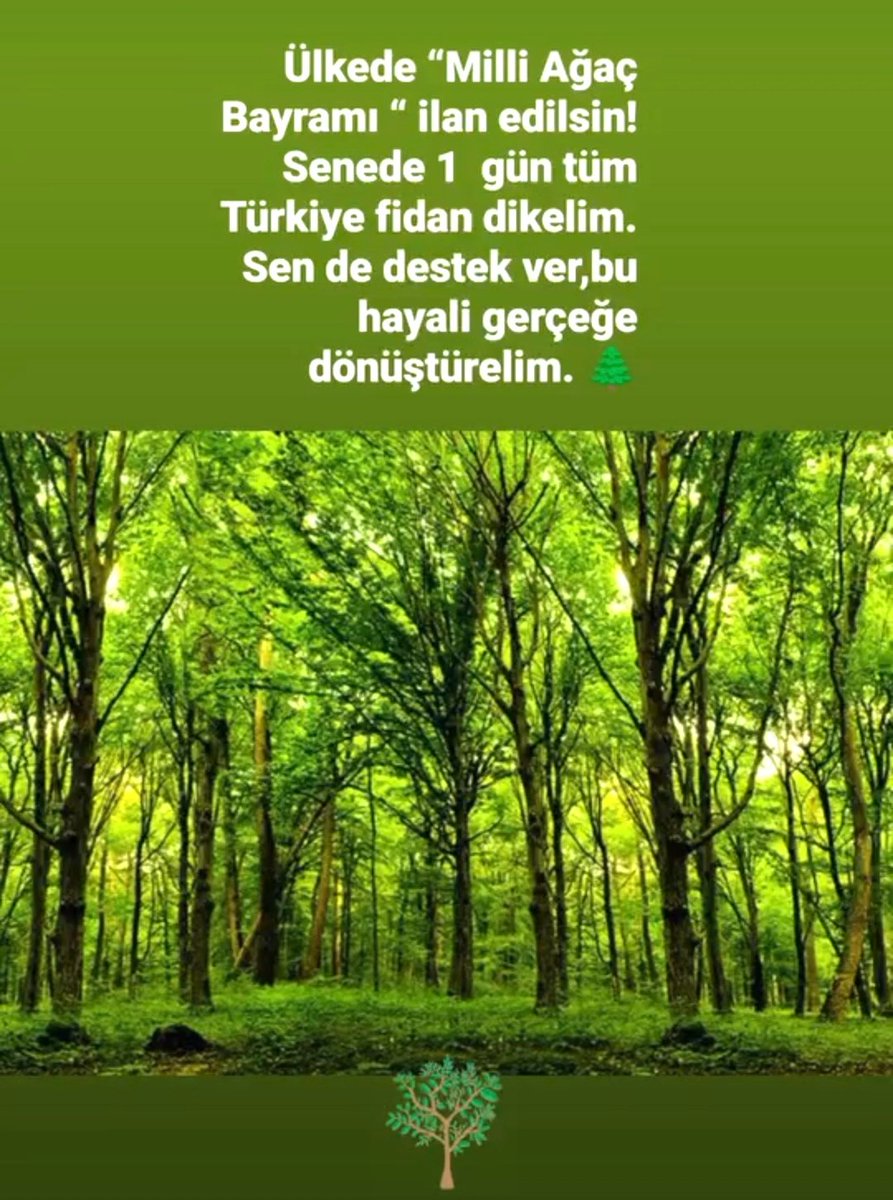 Tüm Türkiye'yi ağaçlandırma ya hazırız..