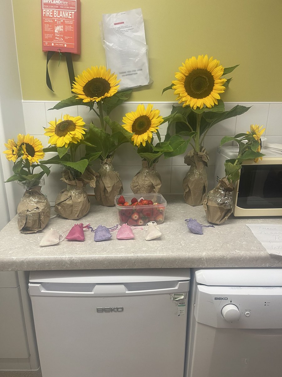 D310Em's tweet photo. These beautiful Sunflowers were handpicked by one of our lovely dentists as a thank you to her Tuesday team at Stockland Green.  So nice to be appreciated. We will miss you Esther! Wishing you every success as you continue with your specialist training in Special Care https://t.co/Ou1aRdp5zv