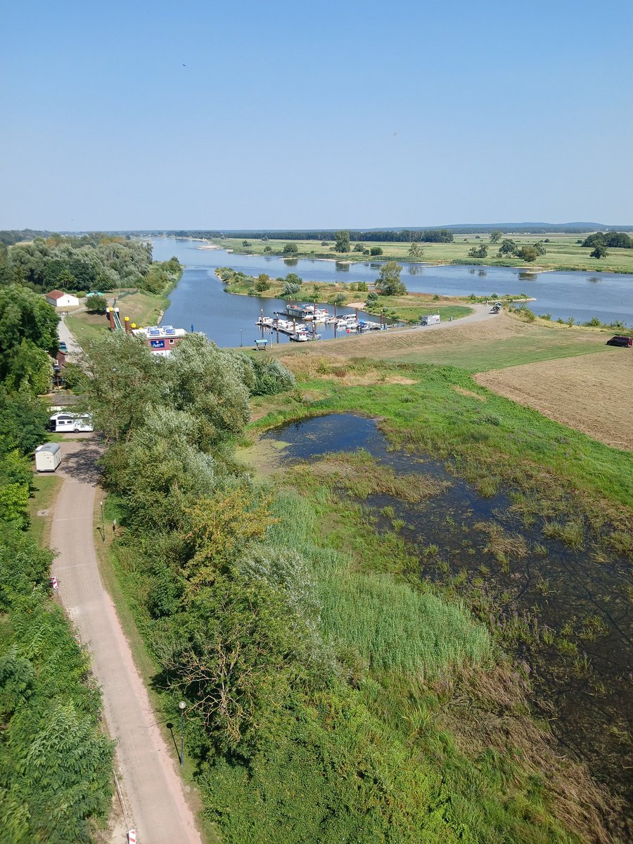 Bill Vince tweet media