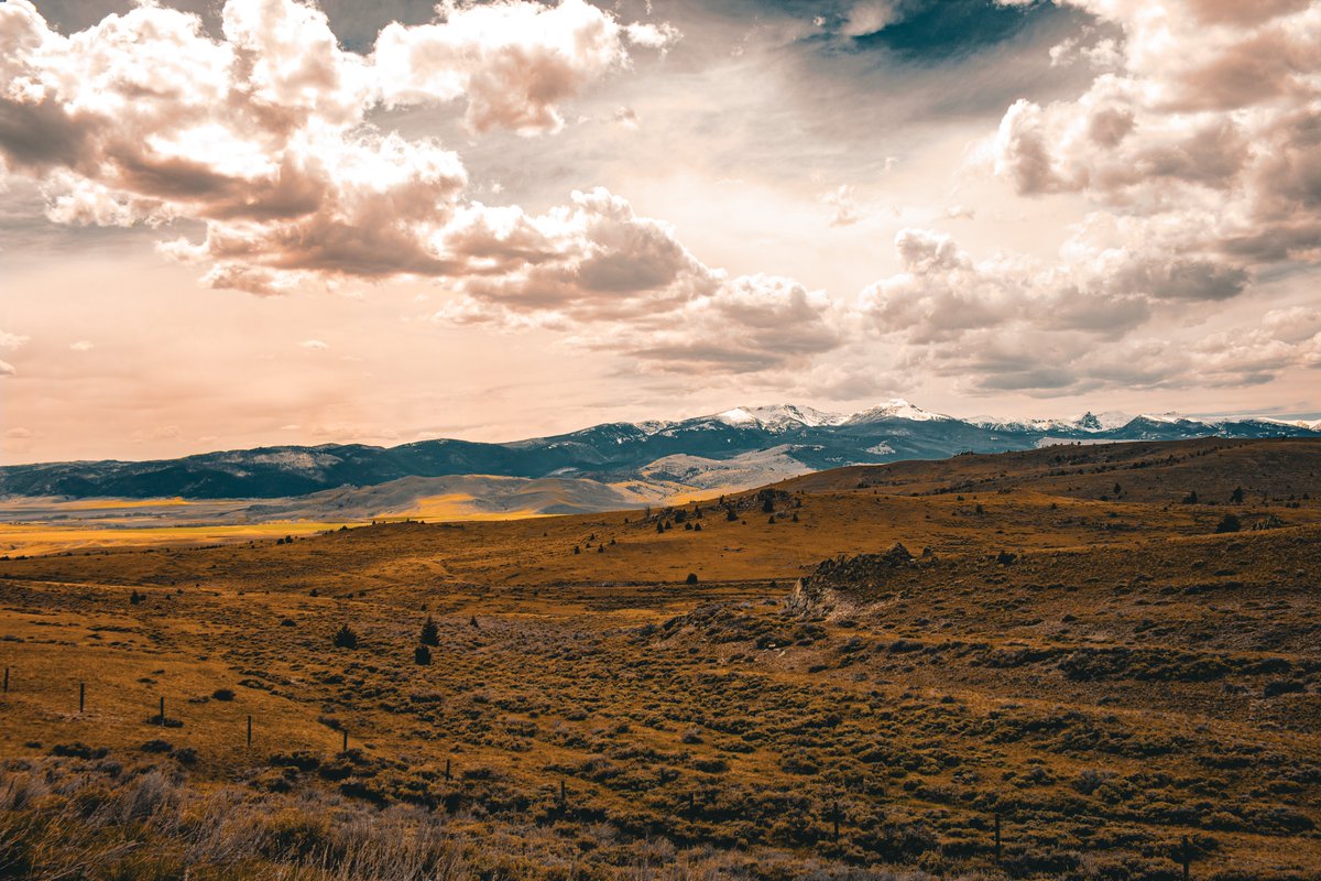 blackholescream's tweet photo. #Montana https://t.co/RlqozzA27q