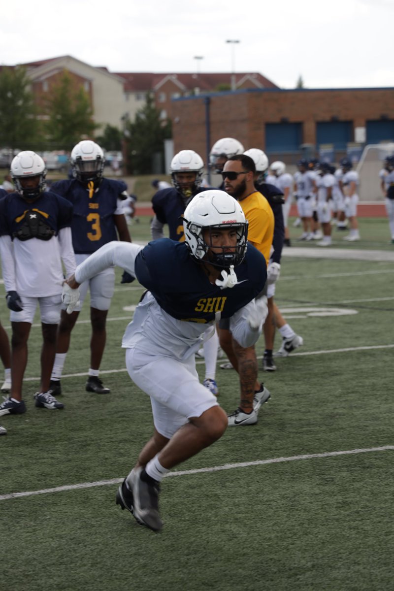 SZN⏳
10 Days….

#ONE💛💙 #JoinTheHunt🐺#FearTheHalo💫