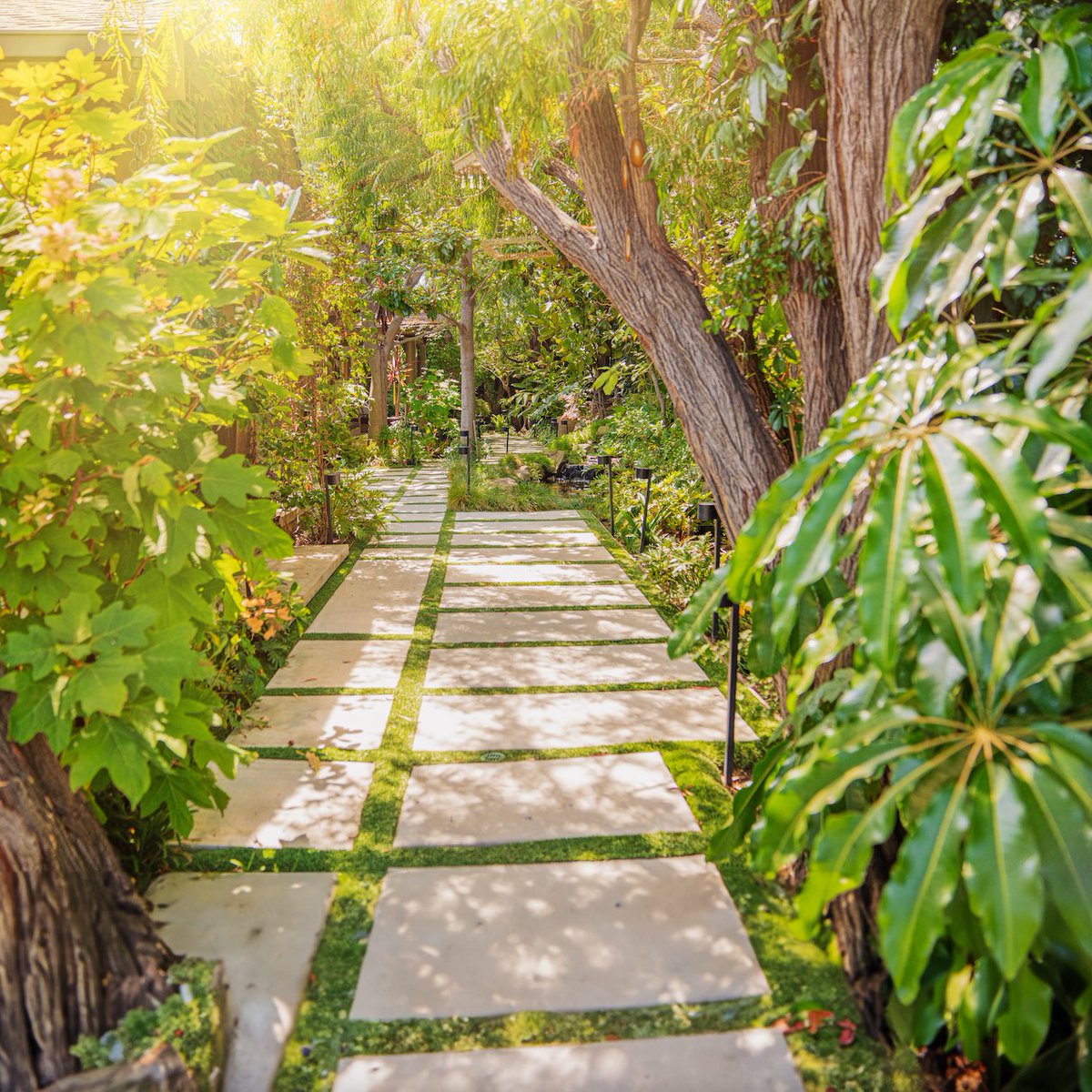 Book in for your summer hair transformation now by calling  323.467.6444 and booking in  with one of our talented stylists today. 

#chazdeanstudio #wenbychazdean #wen #WENhair #TeamWEN #hair #hairstyle #hairstylists #haircut #hairstyles #hairstylist