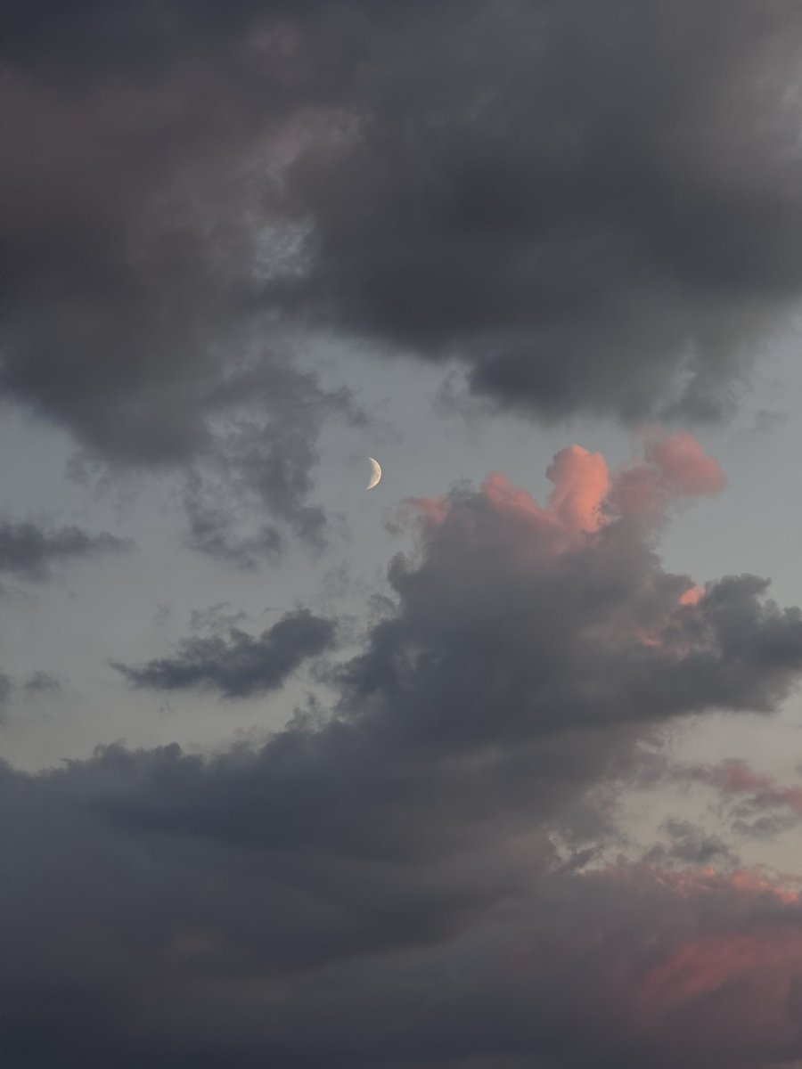 venustetae's tweet photo. pół roku używania i chyba w końcu ogarnęłam aparat w telefonie na tyle by robić nocne zdjęcia 🫠 https://t.co/d0bY99KwNZ