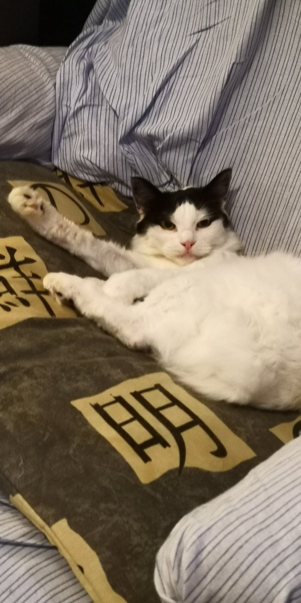 Being unable to do anything is worse than getting to try and failing...
I will always miss you, you helped me through some of my darkest times, hope we some day get to play again, R.I.P. Mimi <3