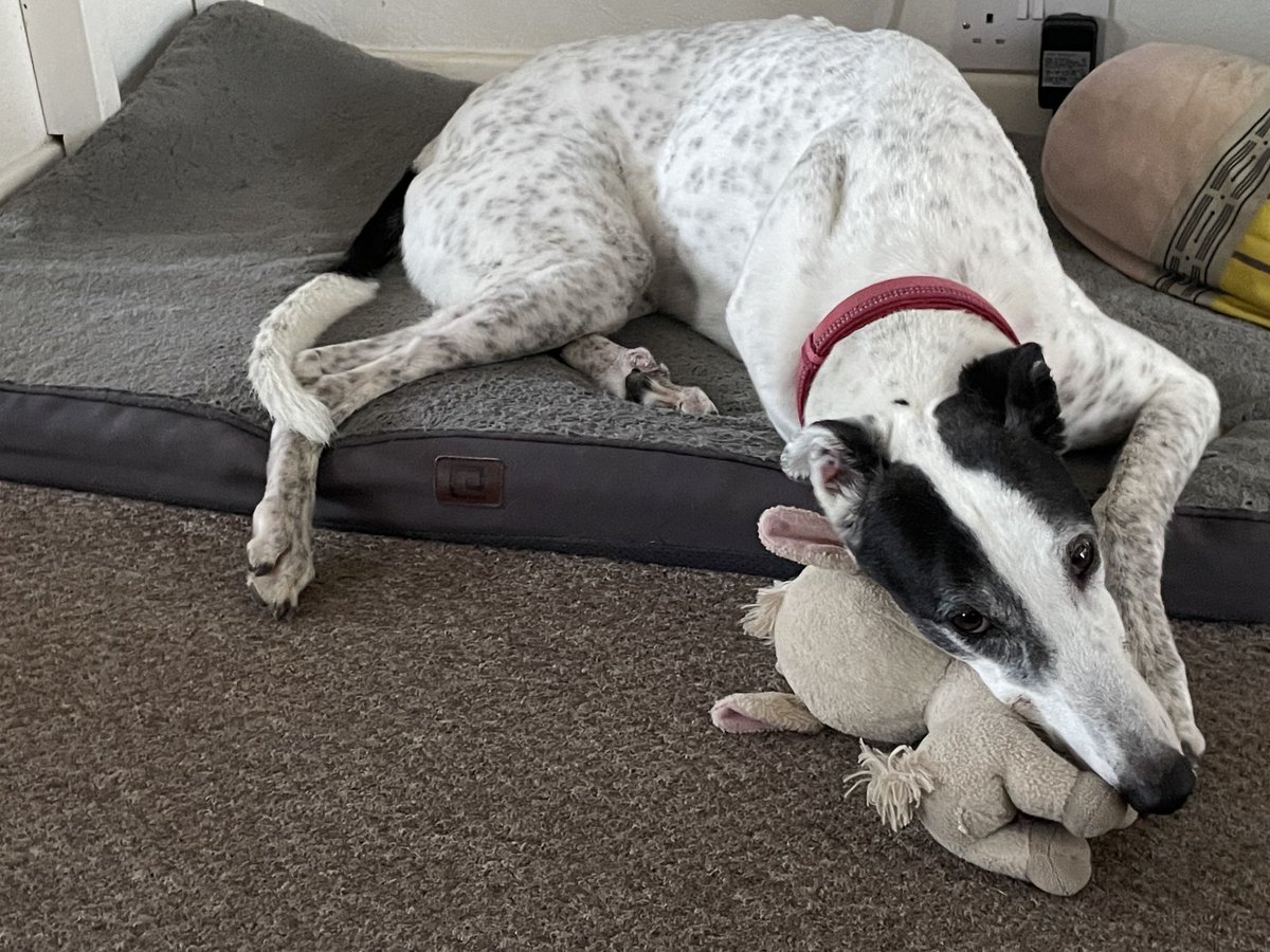 Louisa Moore tweet media