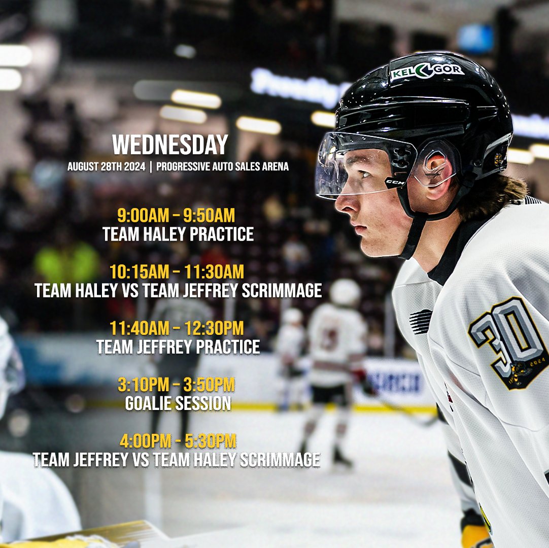 Sarnia Sting tweet media