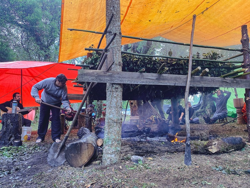 No último final de semana de julho, foi realizada mais uma edição da Carijada Serrana no Caconde, distrito rural de São Francisco de Paula/RS. Nesta, foram manejados pés de erva-mate nativos em meio à floresta com araucárias da Fazenda das Taipas.
coletivocatarse.com.br/2024/08/20/ii-…
