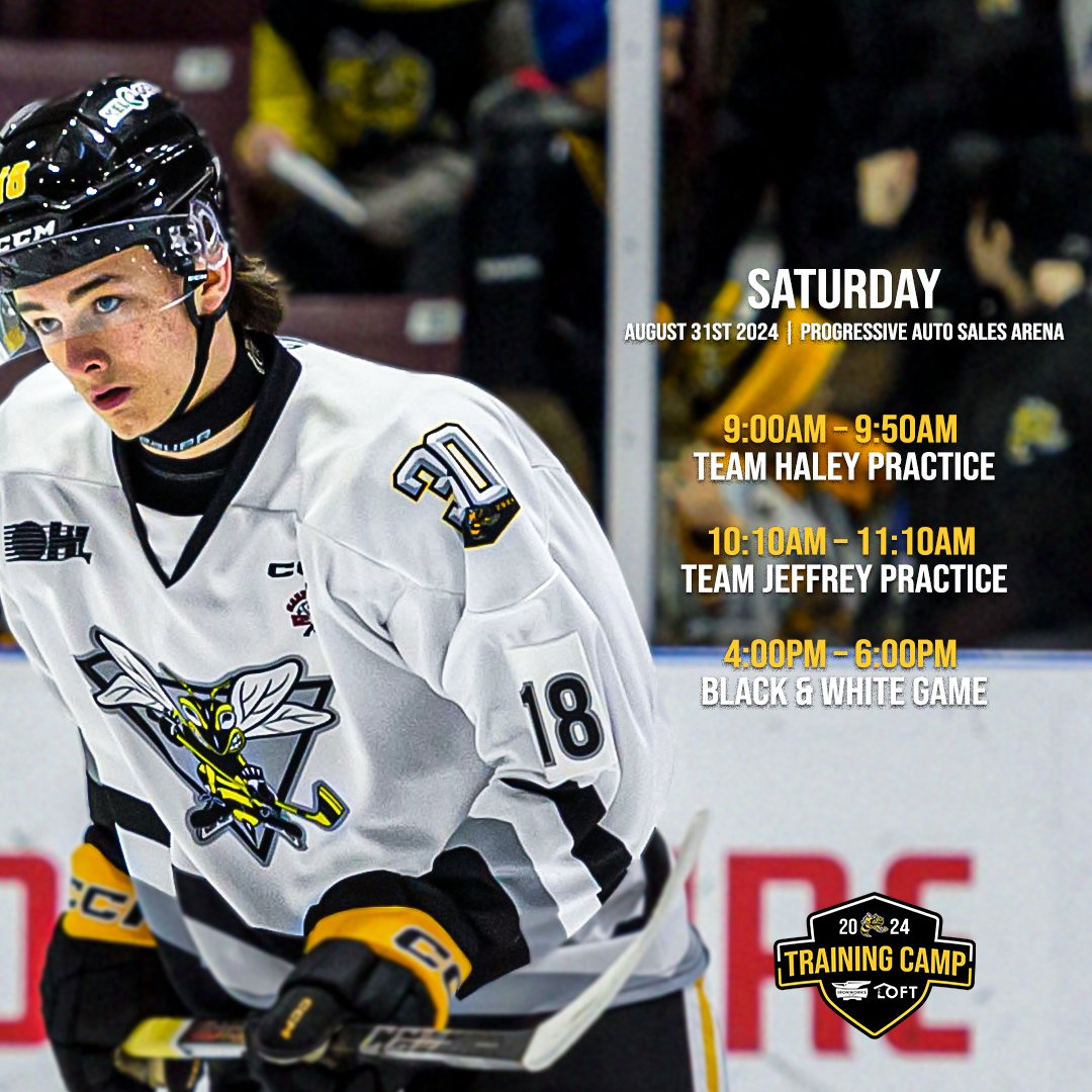 Sarnia Sting tweet media