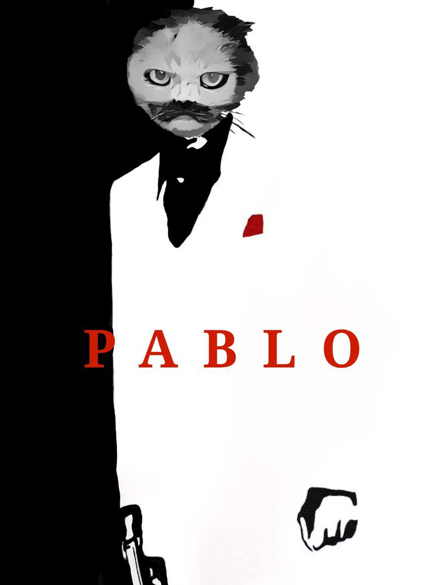 Kblackcrypto2's tweet photo. @barkmeta Got a new one that's not out yet check it out $PABLO https://t.co/TdDs4JC1Kj
https://t.co/AkBn0glmr1
https://t.co/2PsIJAwLEn
#Solana #Memecoin #PabloTheCat $PABLO https://t.co/YRNXzXhjwt