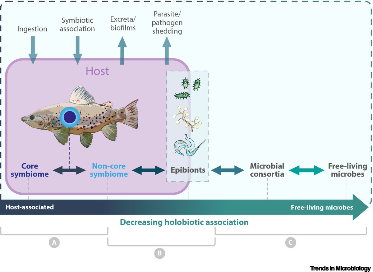 Trends in Microbiology (@trendsmicrobiol) on Twitter photo Microbial, holobiont, and Tree of Life eDNA/eRNA for enhanced ecological assessment
Review by Lauren Cook (<a href="/lauren_colours/">Lauren Cook</a>), Andrew Briscoe, Vera Fonseca (<a href="/veragfonseca/">Vera Fonseca</a>), Jens Boenigk, Guy Woodward, & David Bass (<a href="/endomyxan/">David Bass</a>)
dlvr.it/TC8nsQ Microbial, holobiont, and Tree of Life eDNA/eRNA for enhanced ecological assessment
Review by Lauren Cook (<a href="/lauren_colours/">Lauren Cook</a>), Andrew Briscoe, Vera Fonseca (<a href="/veragfonseca/">Vera Fonseca</a>), Jens Boenigk, Guy Woodward, & David Bass (<a href="/endomyxan/">David Bass</a>)
dlvr.it/TC8nsQ