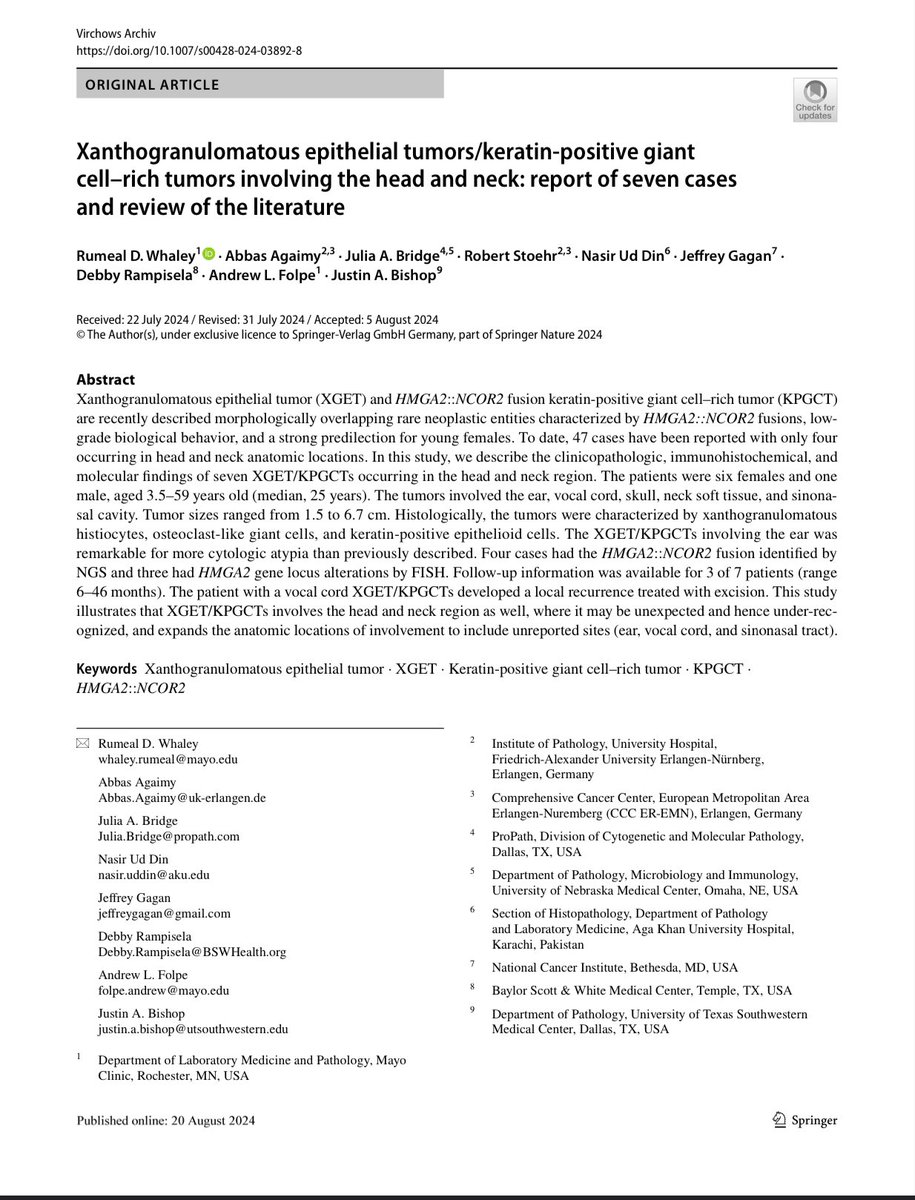 Rumeal D. Whaley, MD (@rdwhaleymd) on Twitter photo Read our latest #research on XGET/KPGCTs, in <a href="/SpringerPath/">Springer Pathology</a> Virchow Archiv
Xanthogranulomatous epithelial tumors/keratin‐positive giant cell–rich tumors involving the head and neck: report of seven cases and review of the literature
link.springer.com/article/10.100… Read our latest #research on XGET/KPGCTs, in <a href="/SpringerPath/">Springer Pathology</a> Virchow Archiv
Xanthogranulomatous epithelial tumors/keratin‐positive giant cell–rich tumors involving the head and neck: report of seven cases and review of the literature
link.springer.com/article/10.100…